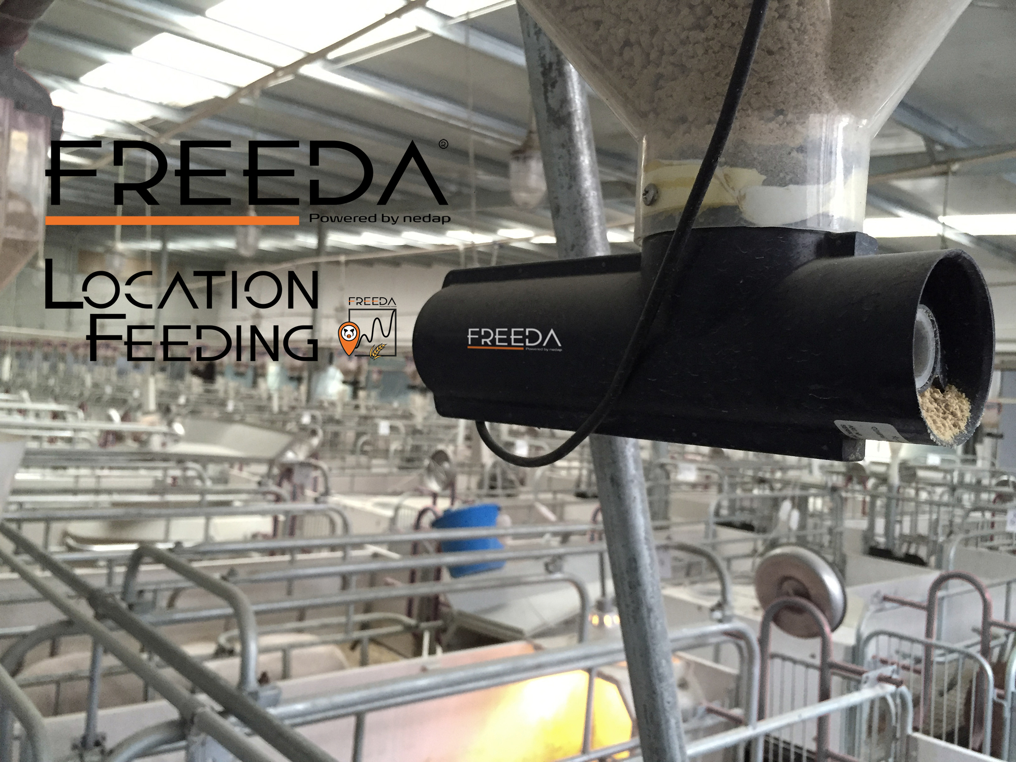 FREEDA® Location Feeding (nedap)