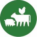 Se Agromek udstillere sektor: Staldmekanisering