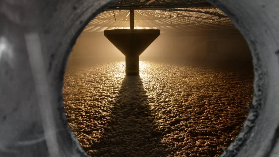 Innovative and self-sufficient: a micro-biogas plant in Poland sets new standards
