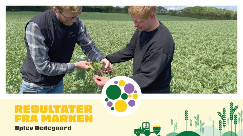 Customer Video – SeedSpeed® at Oplev Hedegaard
