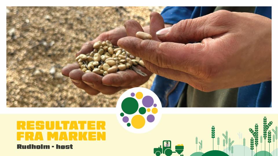 Customer Video – Harvest Results with SeedSpeed®