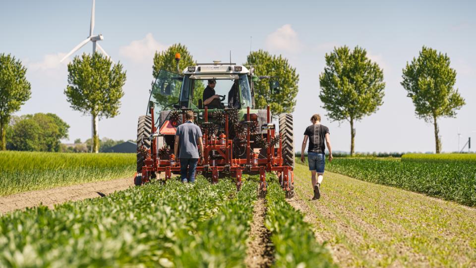 The Danes and the Dutch: Farming the Future Together